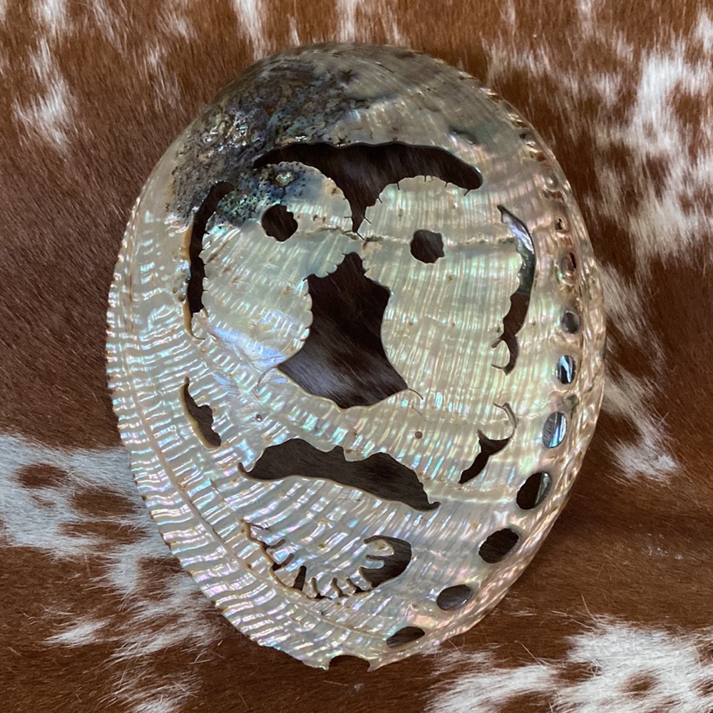 Abalone Shell π¦β€οΈπ¦ - Picture 8 of 10
